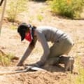 Addressing Blindness in Maricopa County, Arizona
