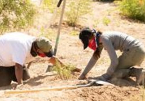 Addressing Blindness in Maricopa County, Arizona