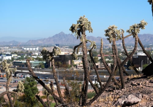 Promoting Blindness Awareness in Maricopa County, Arizona